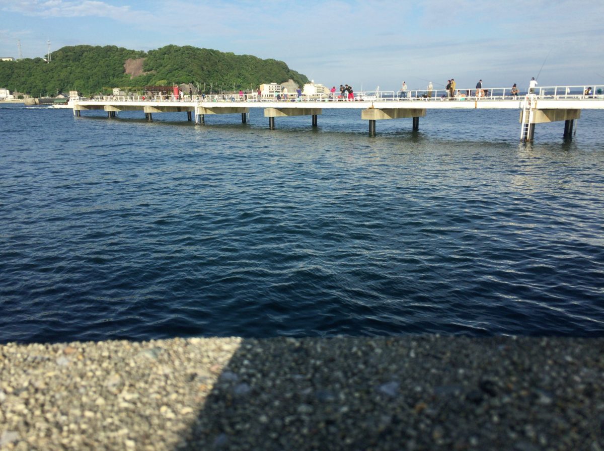 釣り 豊浜 公園 海 愛知県名古屋近郊の海釣り公園おすすめ