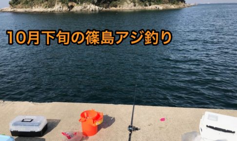 篠島アジ釣り