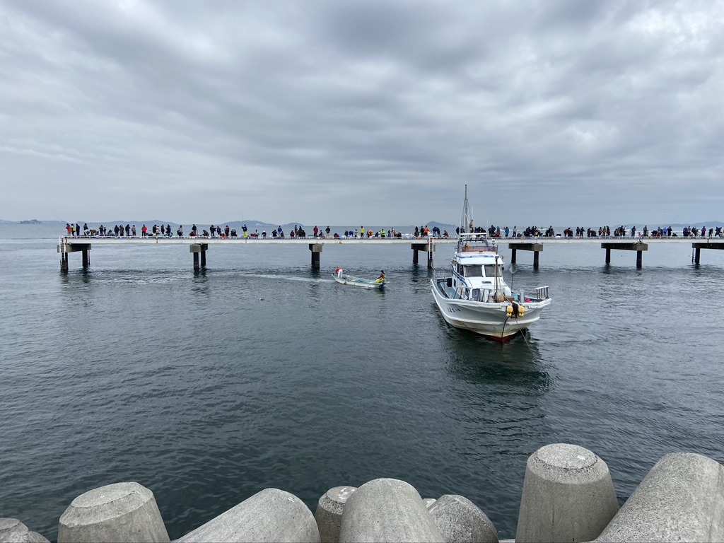 豊浜釣り桟橋の漁
